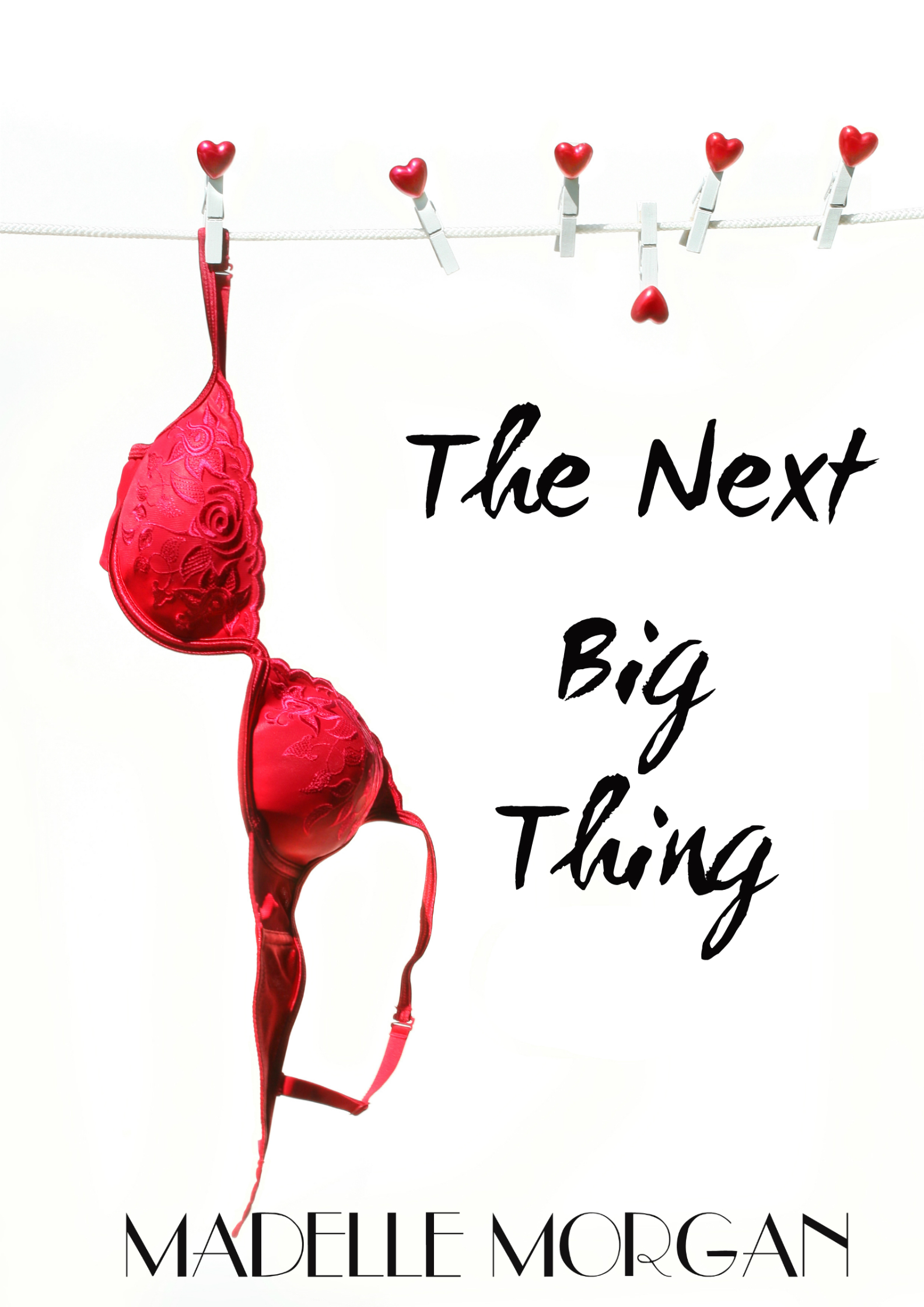 The Next Big Thing Cover